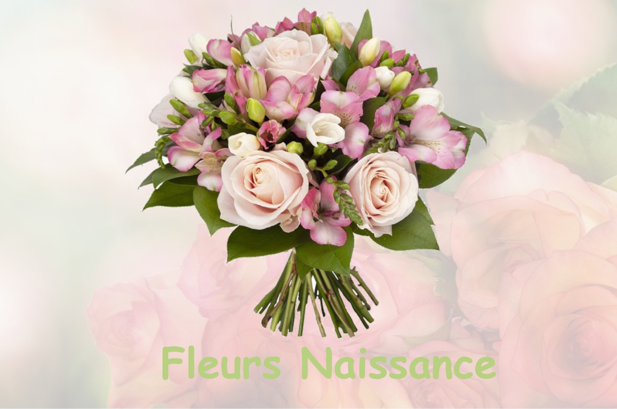 fleurs naissance CARNIN