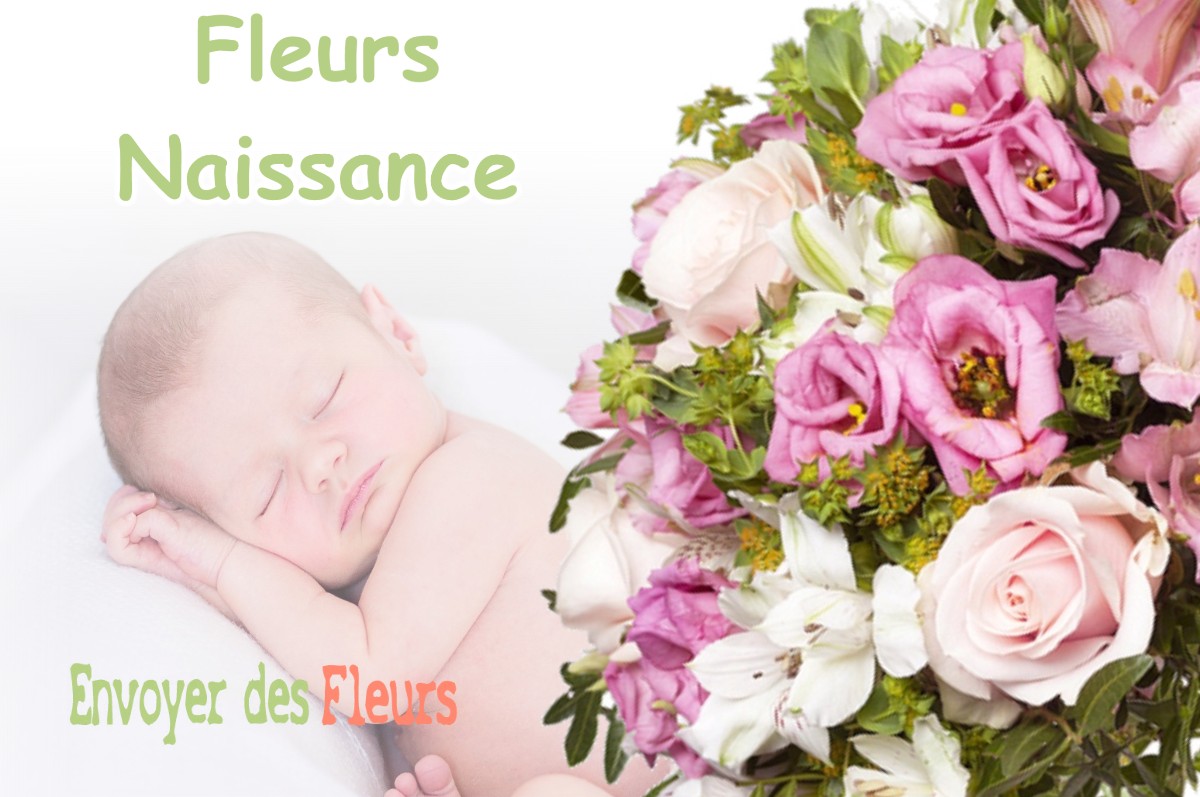 lIVRAISON FLEURS NAISSANCE à CARNIN